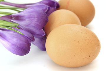 eggs and flowers