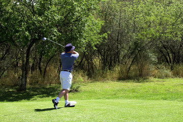 Obraz premium golfer on the tee box.