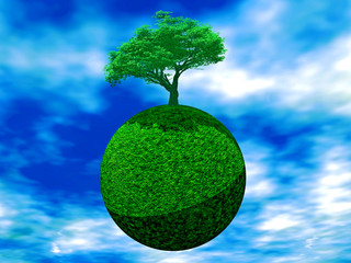tree on earth