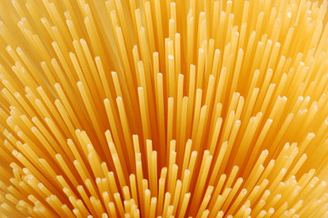 spaghetti
