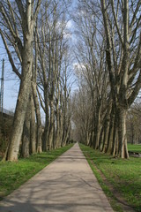 allee