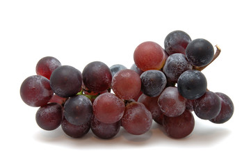 kyohou grapes