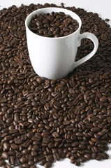 cup o beans