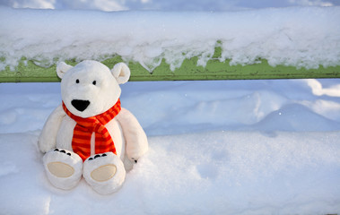  lonely polar teddy bear on the bench