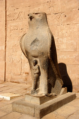 statue of horus, edfu temple, egypt