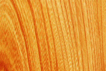 close-up of wooden texture - can be used as background