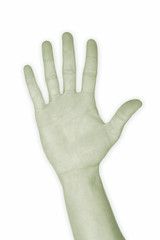 hand nr. 5 - in green