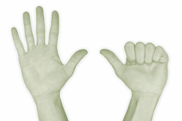 Obraz premium hand nr. 6 - in green