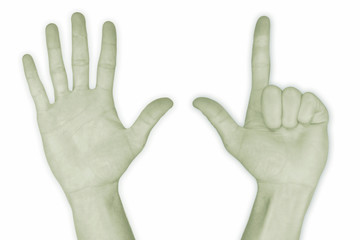 hand nr. 7 - in green