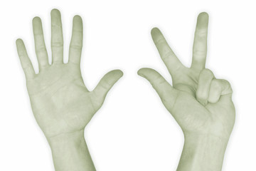 hand nr. 8 - in green