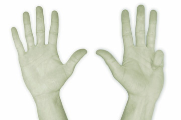 hand nr. 9 - in green