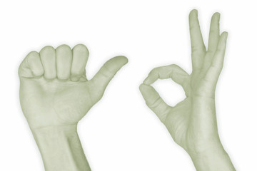 hand nr. 10 - zehn - in grün