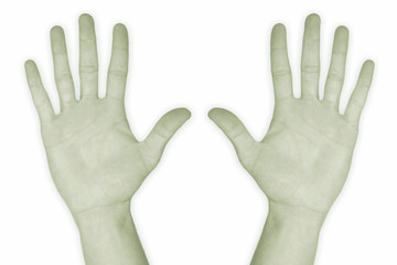 Obraz premium hand nr. 10 - in green