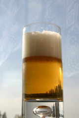 from beer perspective