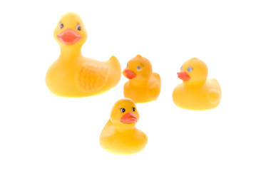 rubber ducks