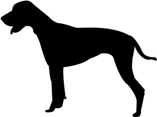 dog silhouette
