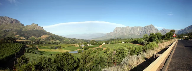 stellenbosh © piccaya