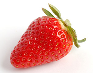 erdbeere strawberry