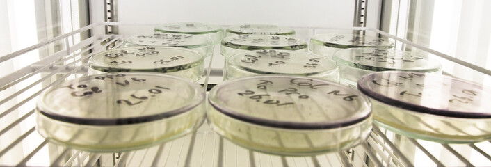 microbiology science