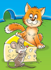 mouse and cat