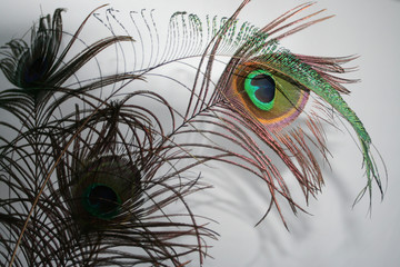 Obraz premium schatten und licht