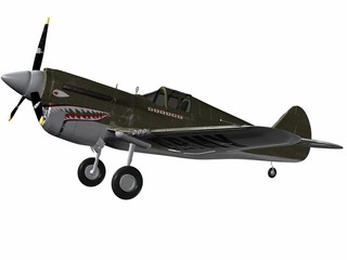 p40 warhawk
