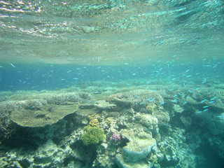 red-sea25