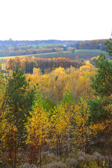 Fototapeta premium autumn landscape