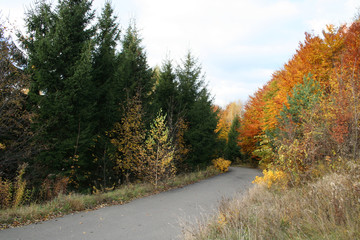 autumn landscape