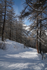promenade hivenale en montagne