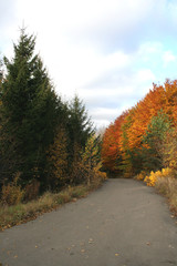 Fototapeta premium autumn landscape