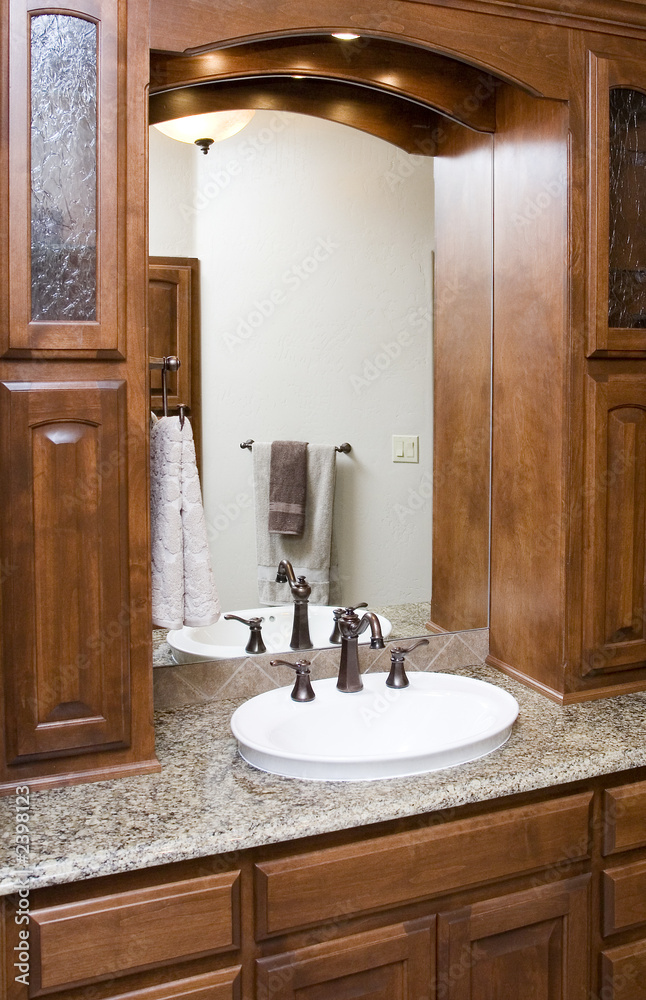 Wall mural fancy sink