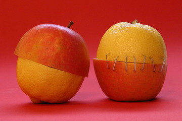 synergie