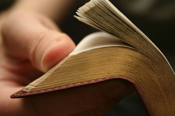 young man reading small bible