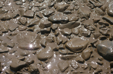 mud and stones