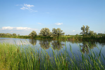 Fototapeta na wymiar small lake in a years sunny day