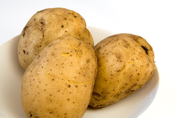 potatoes in their jackets