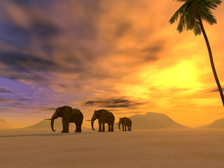 Fototapeta na wymiar three elephants