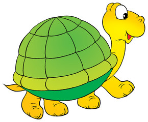 turtle