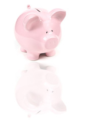 pink piggy bank with reflexion