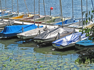 blick auf die außenalster