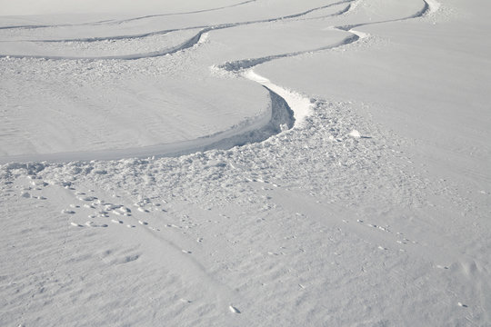 traces de snowboard #1