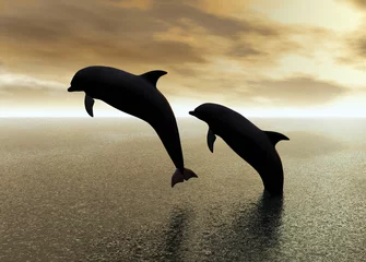Crédence de cuisine en verre imprimé Dauphin dauphins jouant