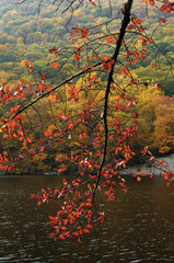 fall colors at bear mountain