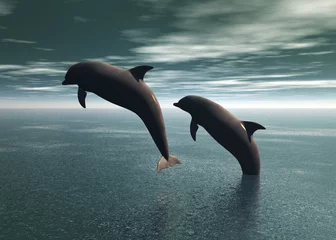 Foto op Plexiglas spelende dolfijnen © Stephen Coburn