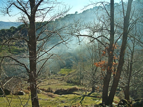 Gavilanes Images Browse 55 Stock Photos, Vectors, and Video Adobe Stock