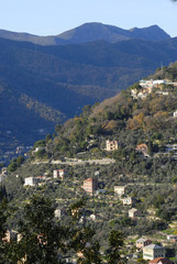 Fototapeta na wymiar krajobraz w Ligurii