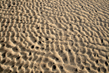 abstract sand ripples background.