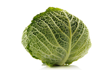 Fototapeta premium green cabbage
