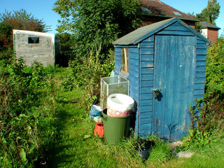 blue shed on allotment